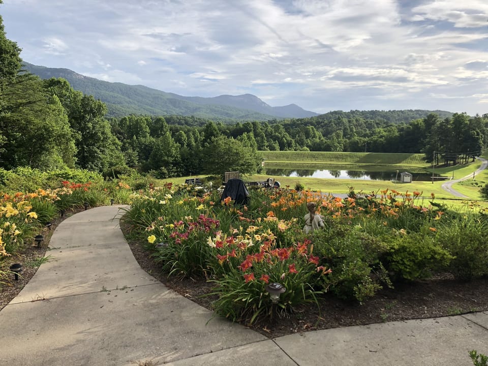 View from property