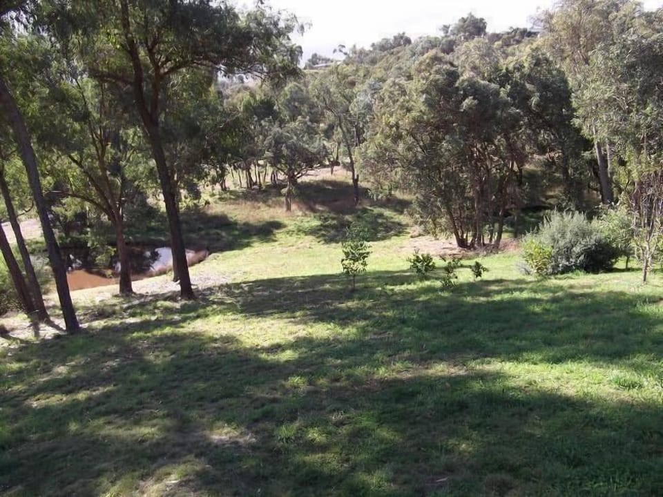 5 acres of native bush gardens to ramble in