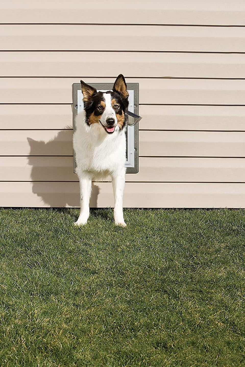 2nd bedroom has Medium size Pet door (8 1/4" W x 12 1/4" H) 