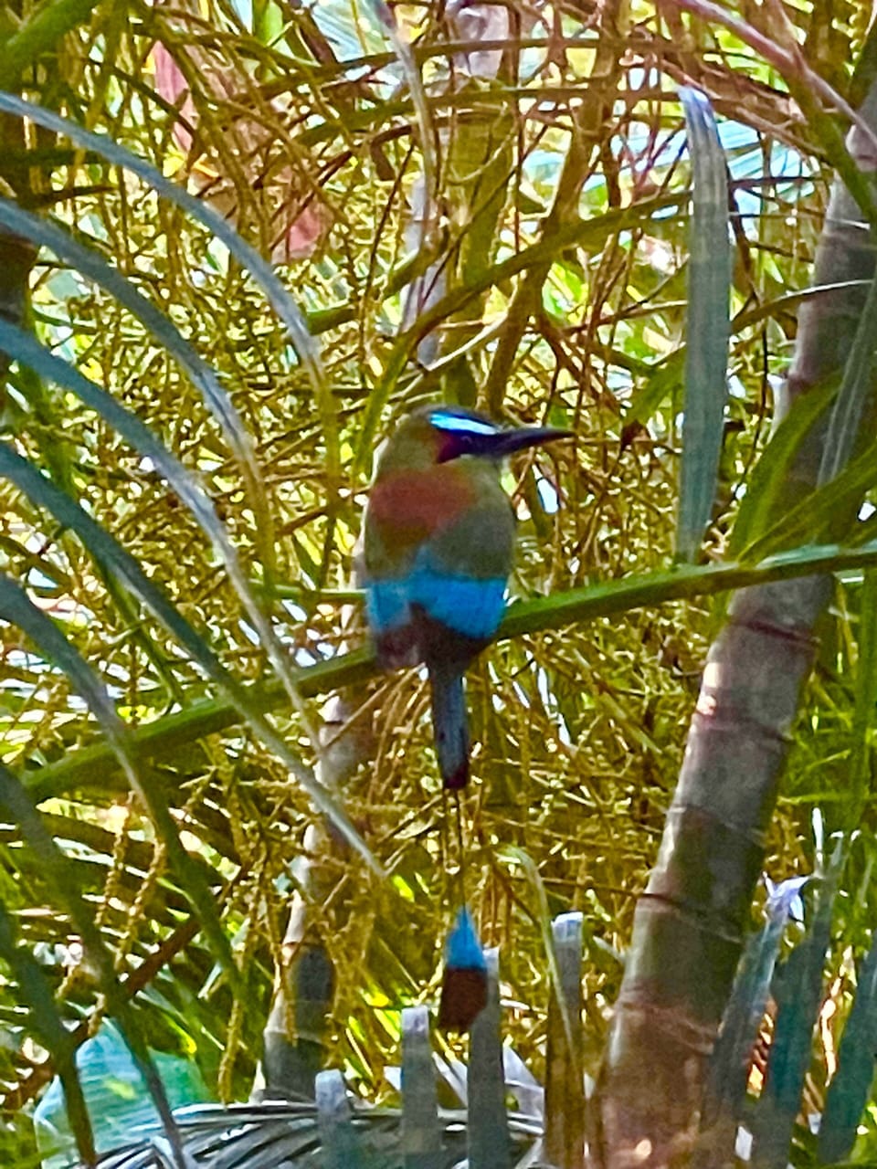 Miscellaneous