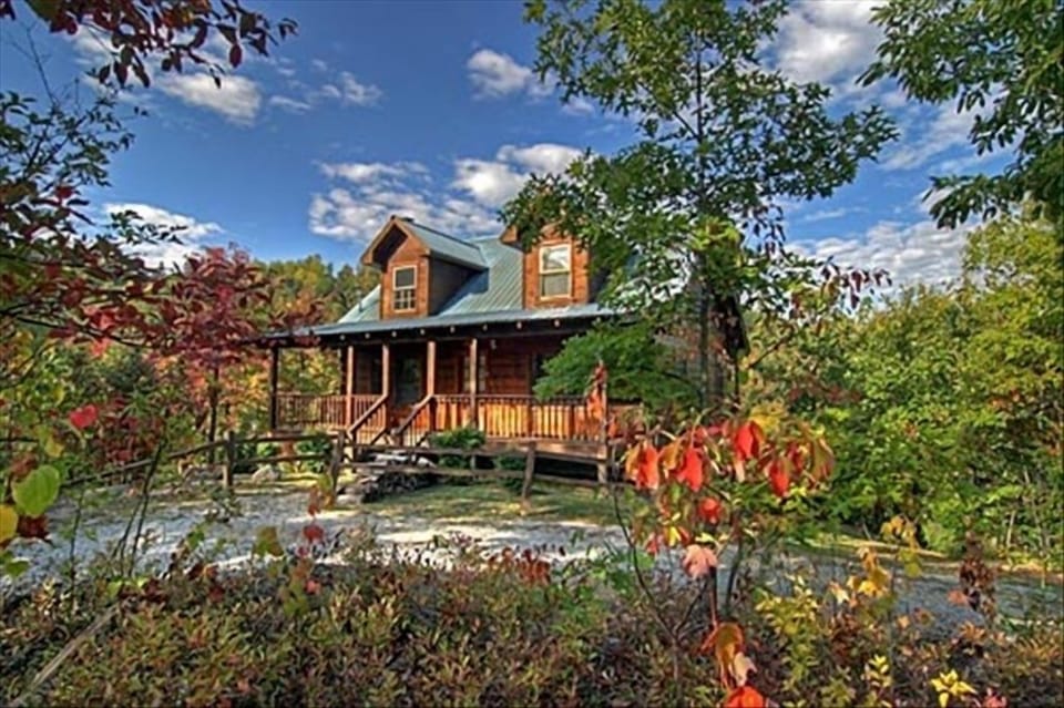 View of Cabin and Circular Drive Though the Trees