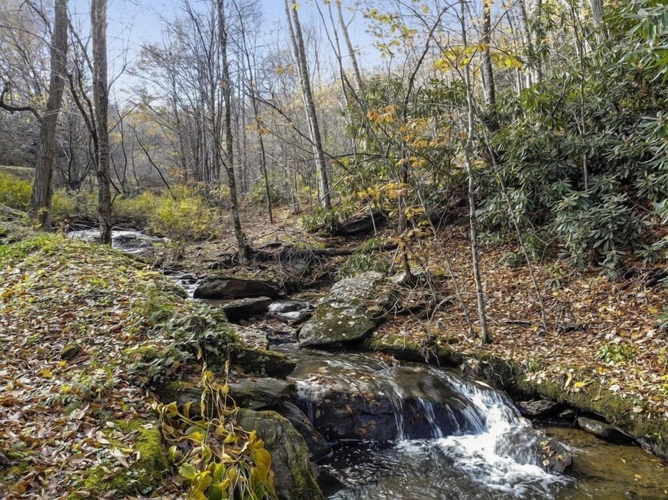 Nearby creek