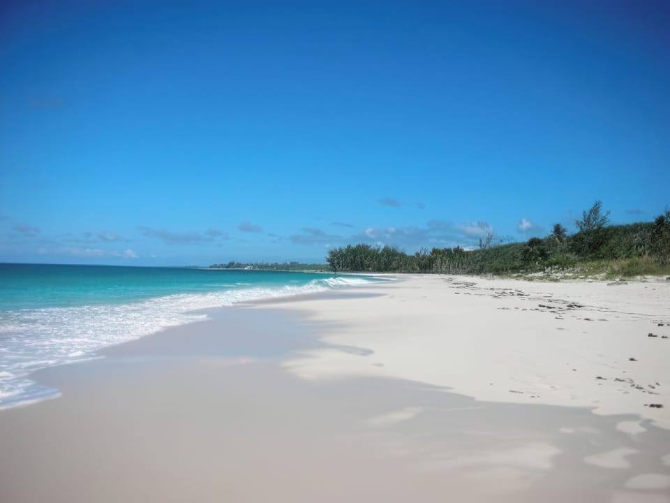 Our pink sand beach, deserted as usual