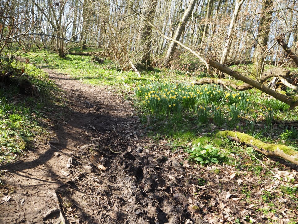 The walk to Thakeham village in the spring
