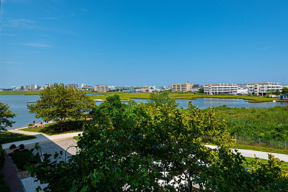 View from Balcony!
