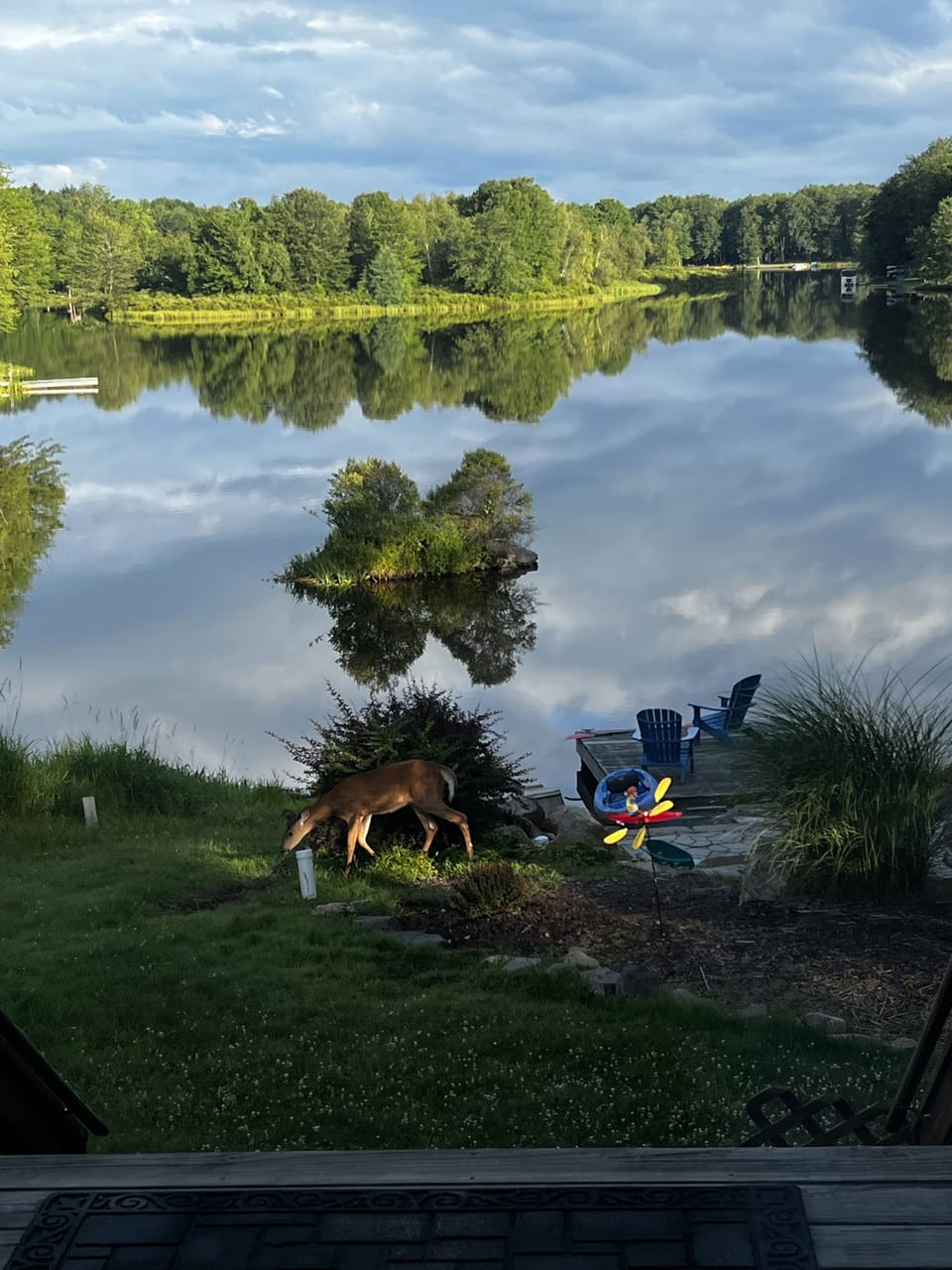 View from property