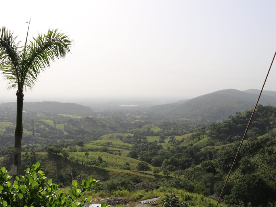 Ecotours