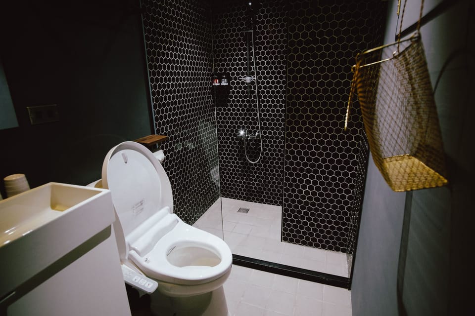 Shower, free toiletries, hair dryer, slippers