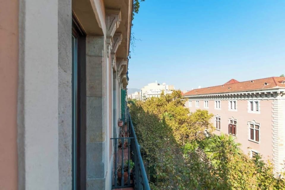 View from the Living Room