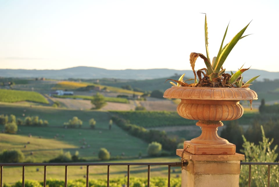 Just enjoy Dolce Vita in Tuscany!