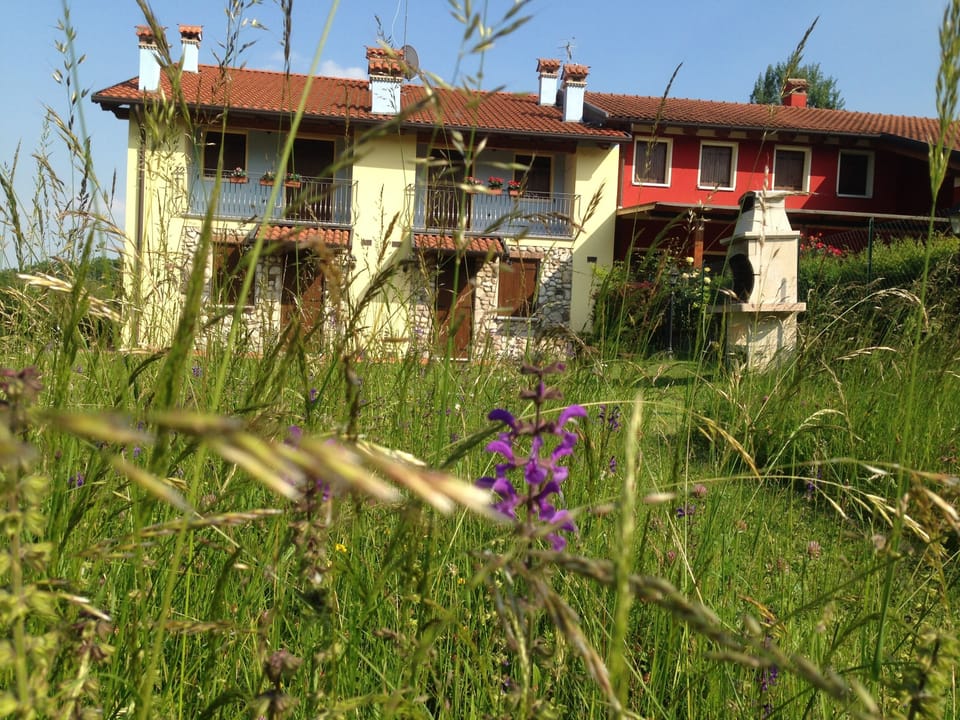 the House and Barbecue
