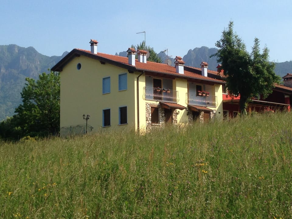 The House in nature