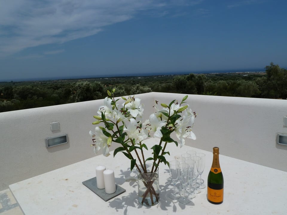 Roof Terrace