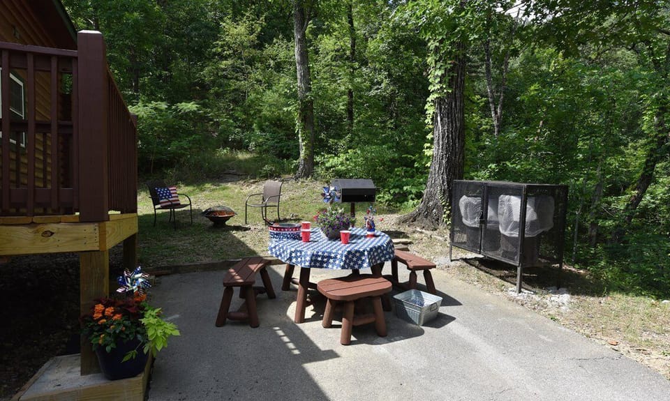 Picnic area with seating and park-style charcoal grill