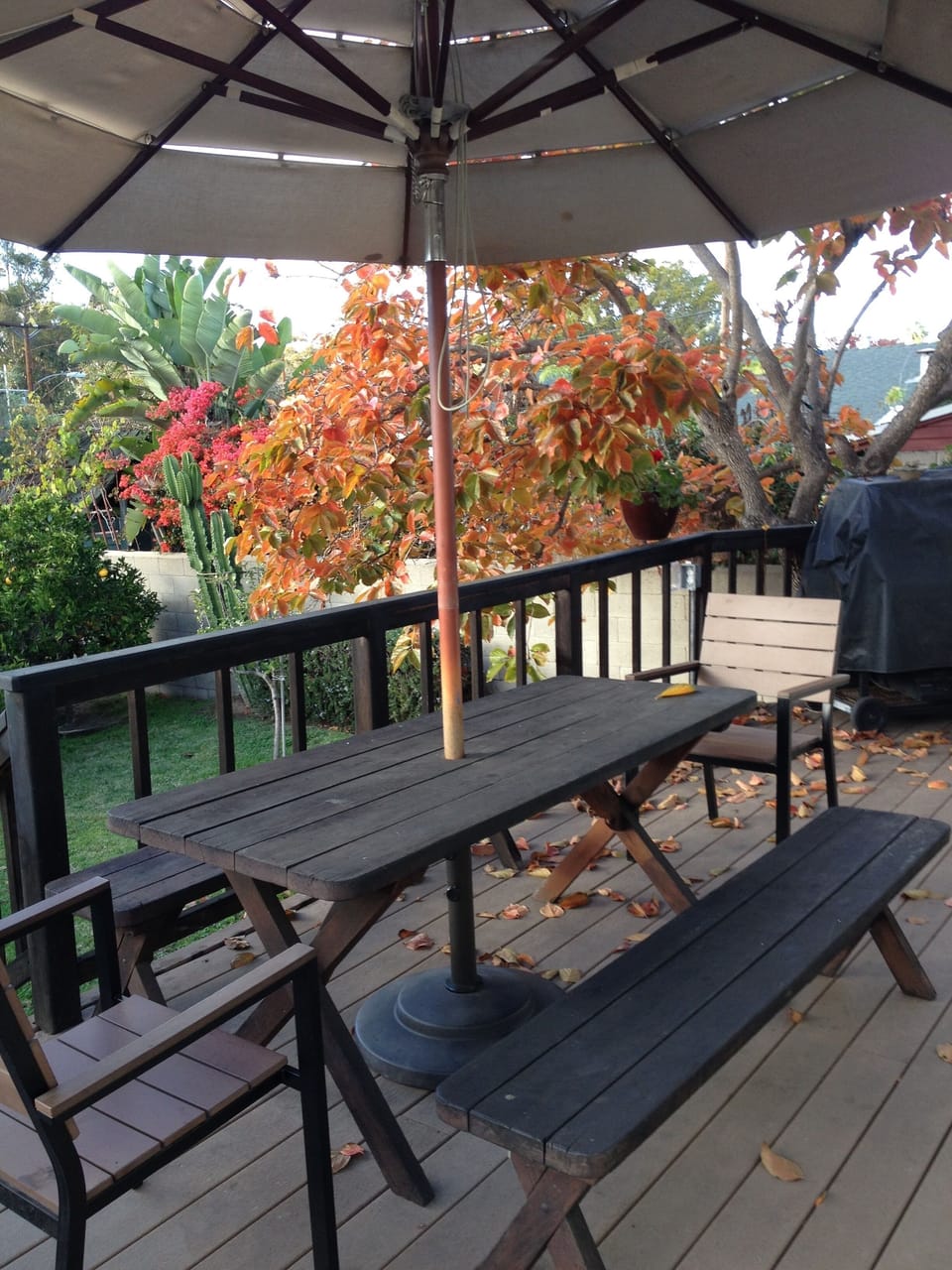 Deck seating for six.  