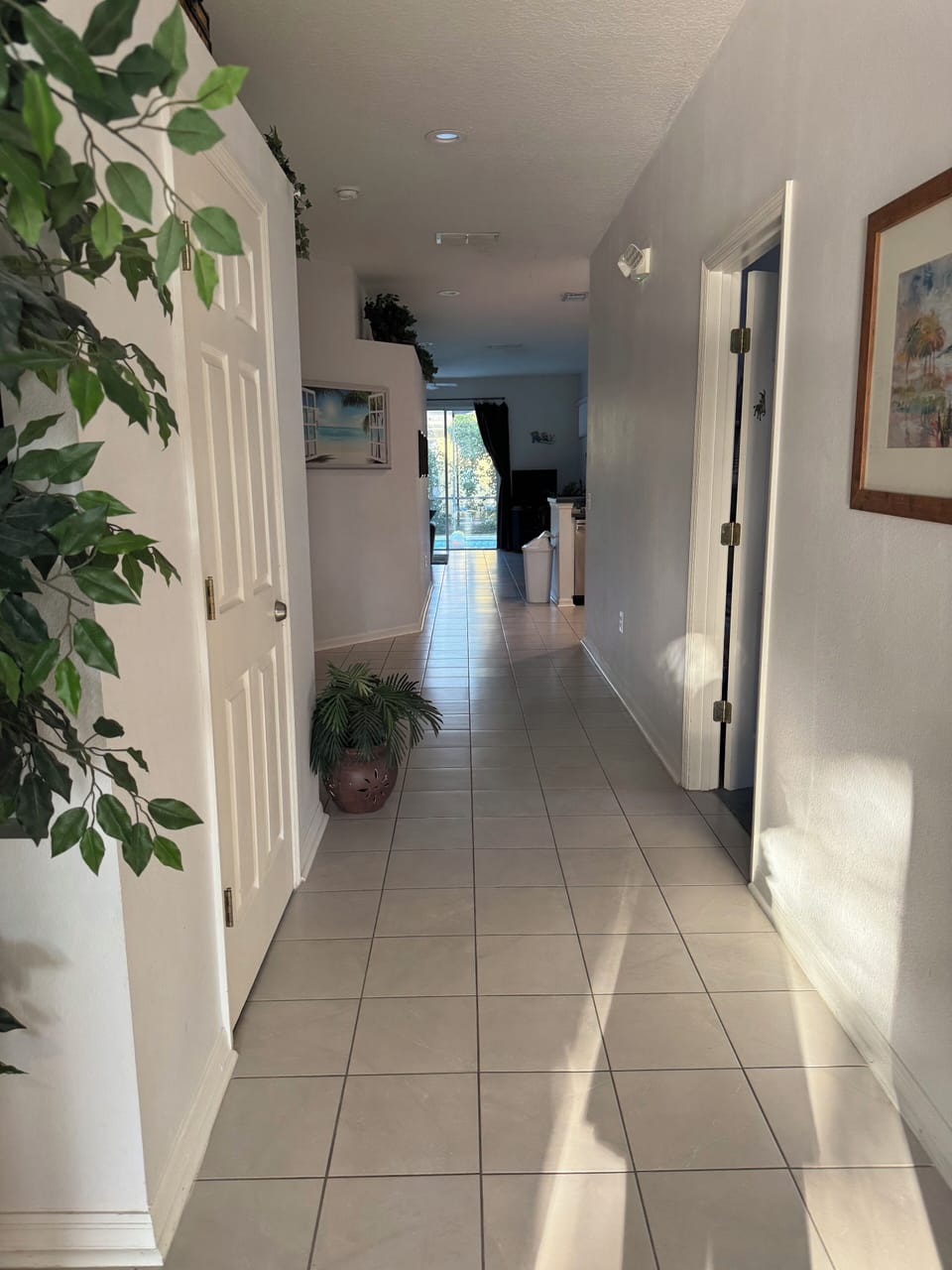 Entrance and Main Hallway