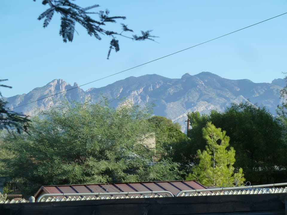 Catalinas from the enclosed yard