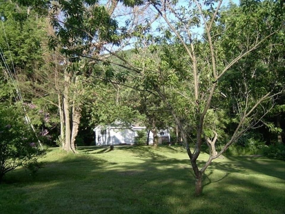 South Lawn