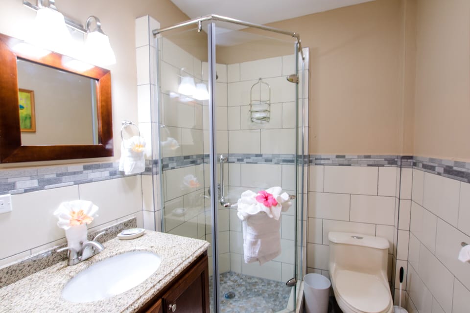 Bathroom with toiletry and blow dryer 