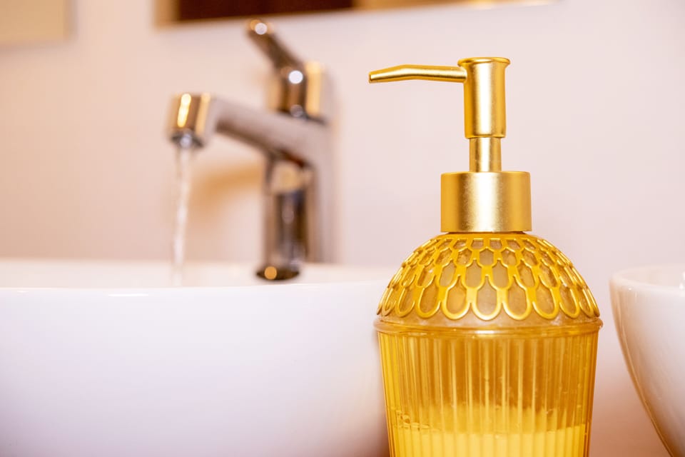 Shower, free toiletries, hair dryer, slippers