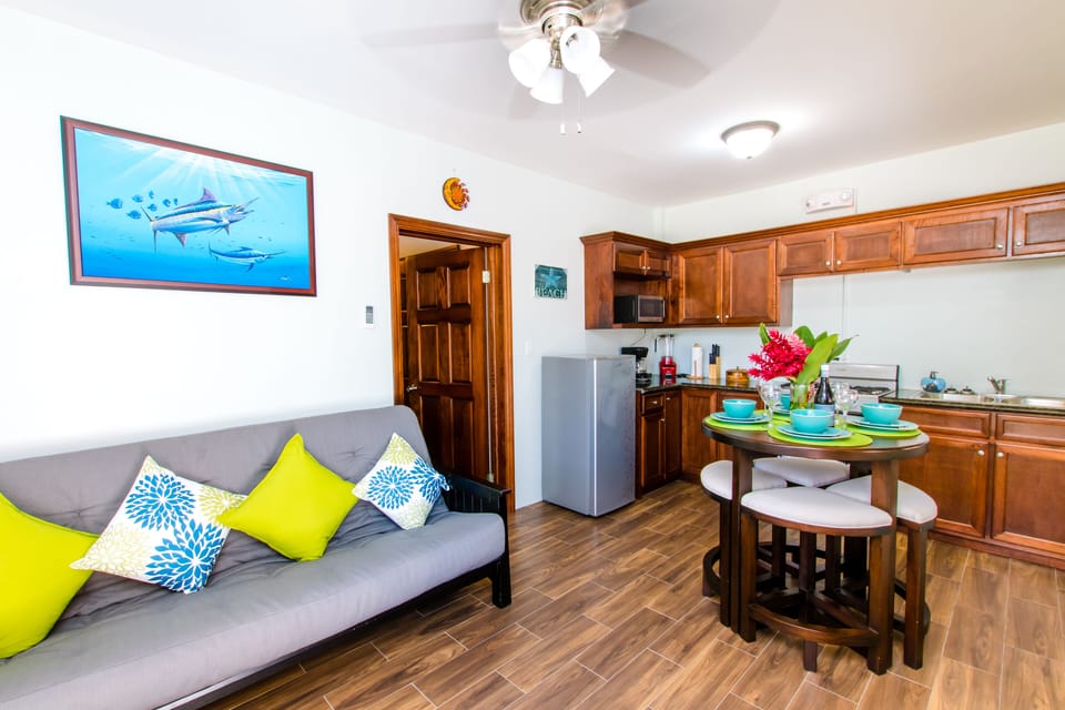 Fully Equipped Kitchen and Queen size futon 