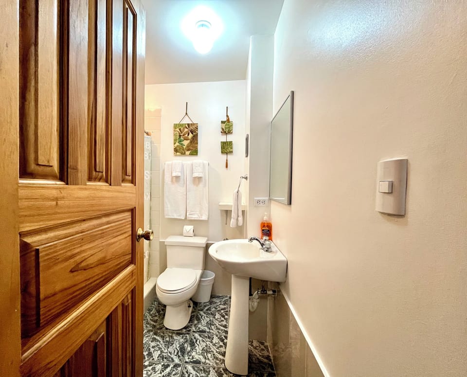 Standard Double Room, 1 Double Bed, Non Smoking, Courtyard View | Bathroom | Shower, rainfall showerhead, free toiletries, hair dryer