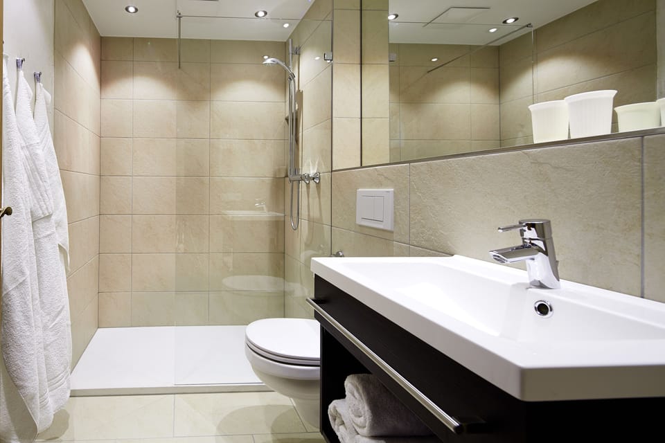 Shower, free toiletries, hair dryer, towels