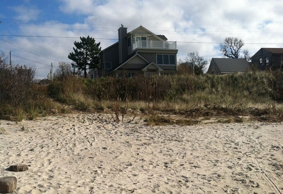 BELA from the beach