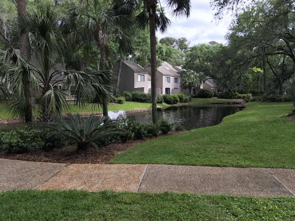 View of the beautiful lagoon from the large deck.