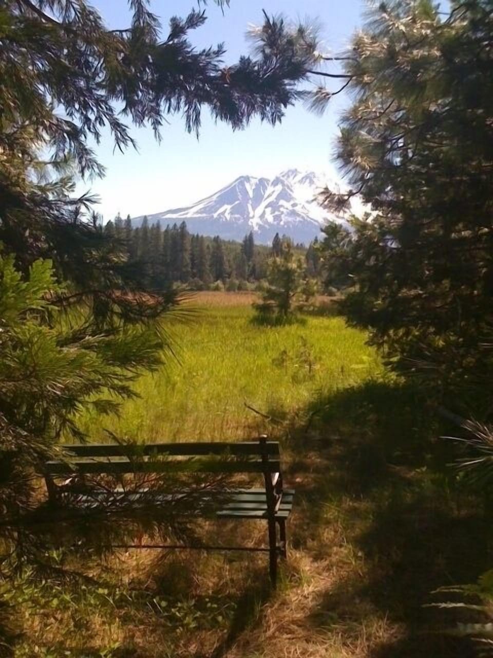 Perfect reading spot