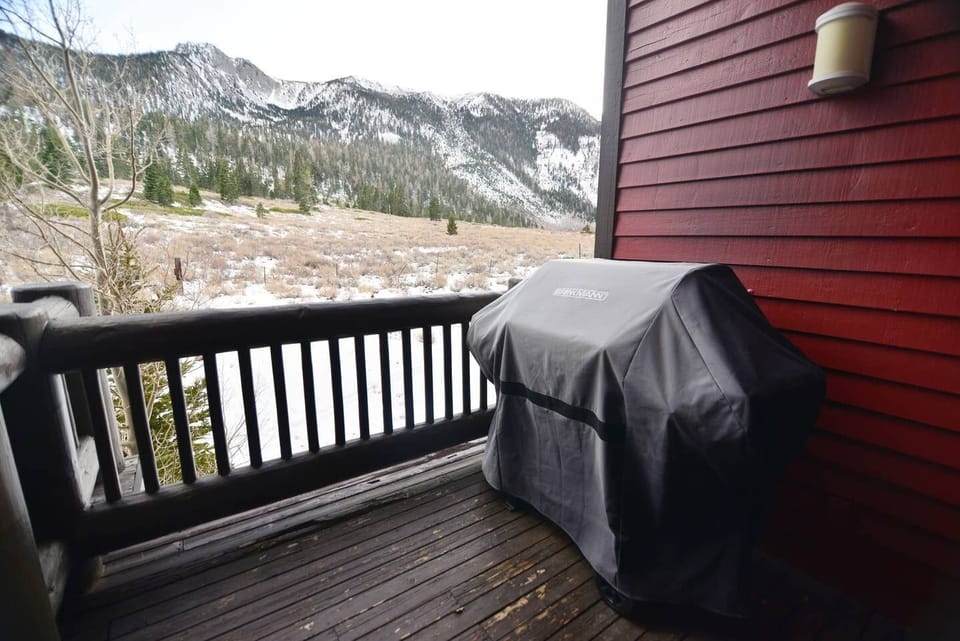 BBQ Deck with Views!