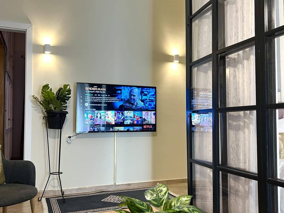 large smart tv and Netflix 