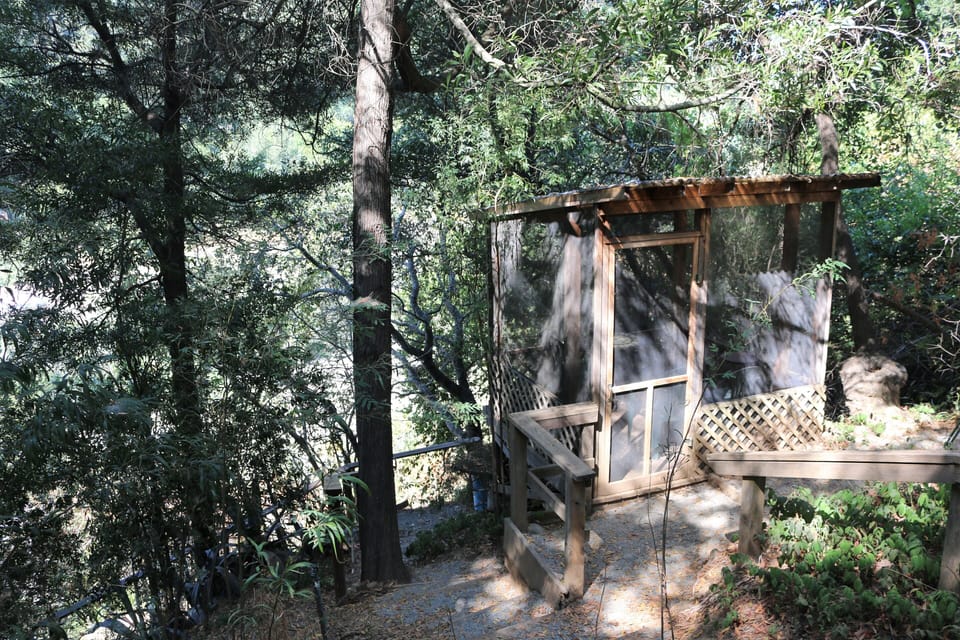Screen house overlooking river
