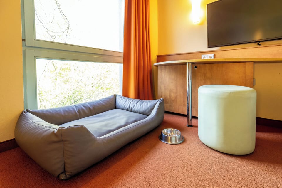Desk, soundproofing, free cribs/infant beds, free WiFi