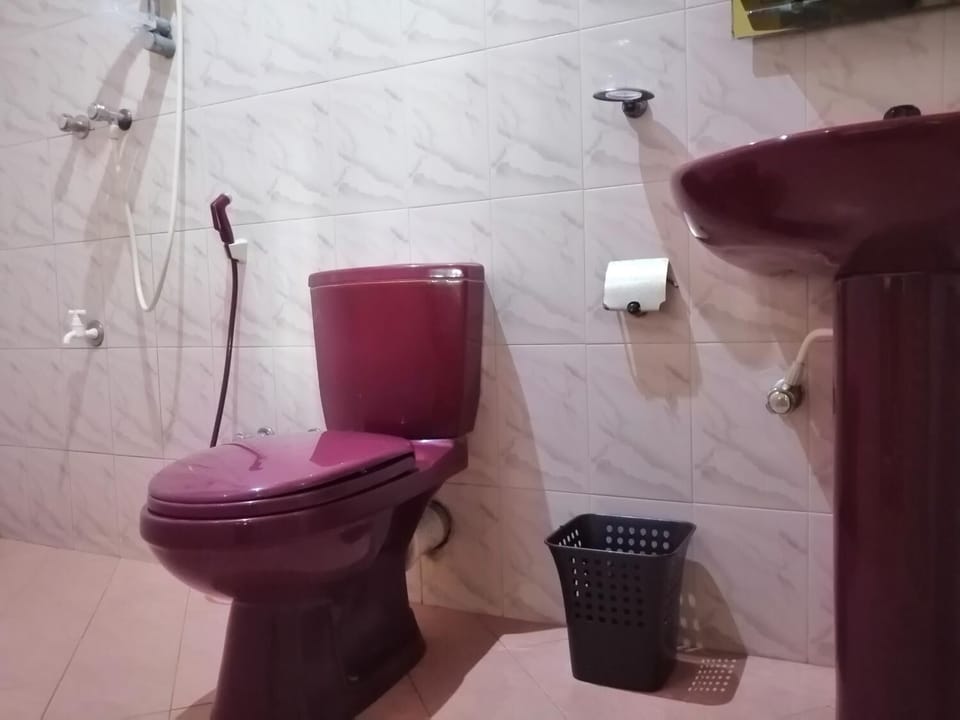 Shower, bidet