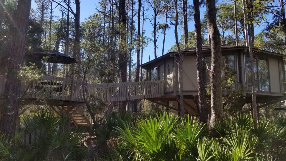 Quiet and Secluded surrounded by Palms and Live Oaks