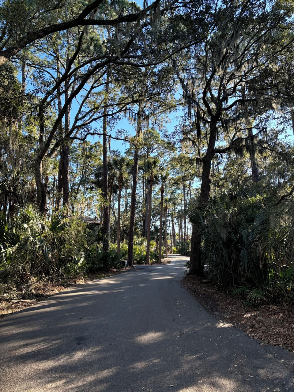 Road in front of the house!
