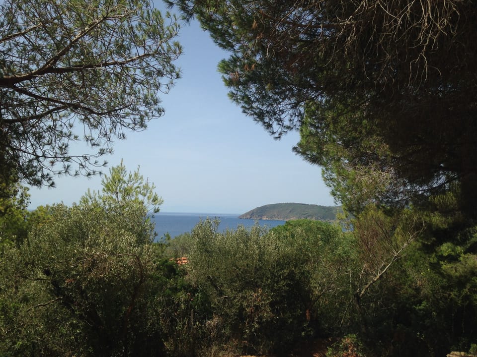 Sea-view cottage a stone's throw from the beach near Capoliveri House in Capoliveri