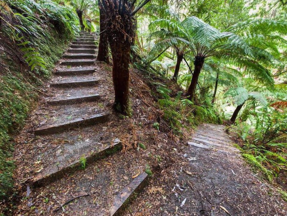 Hiking