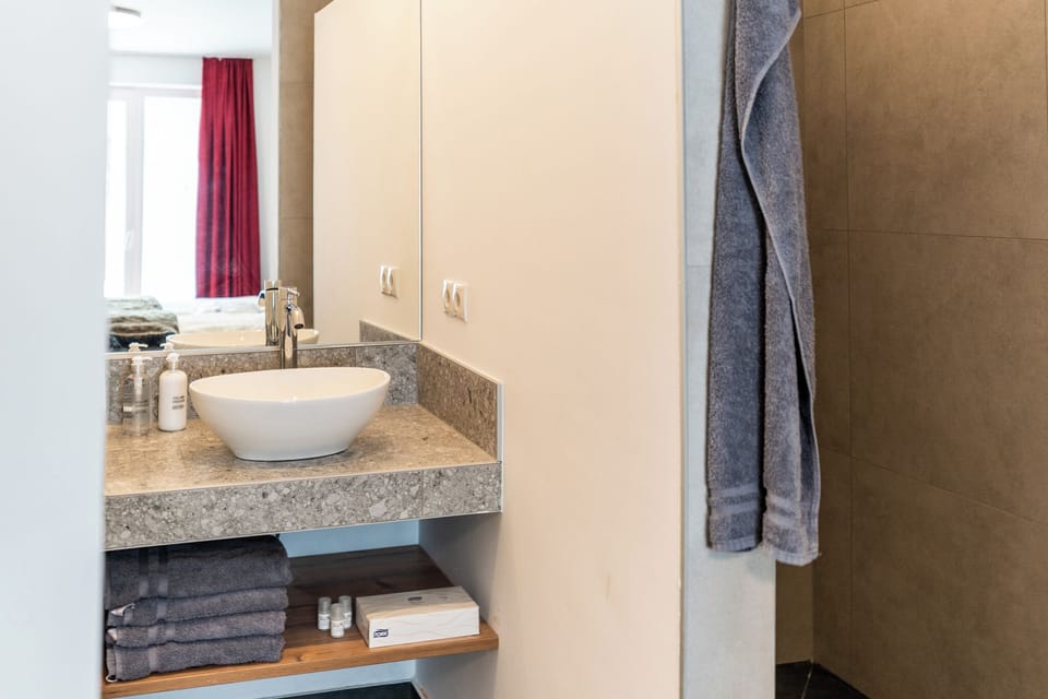 Shower, hair dryer, bathrobes, slippers