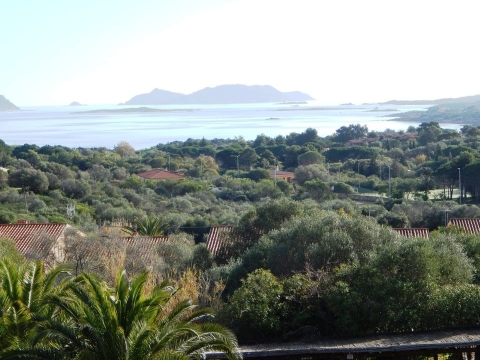 Apartment, 2 Bedrooms | View from room