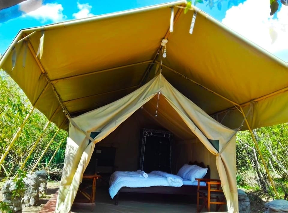 Deluxe Tent, 1 Queen Bed | Blackout drapes, bed sheets