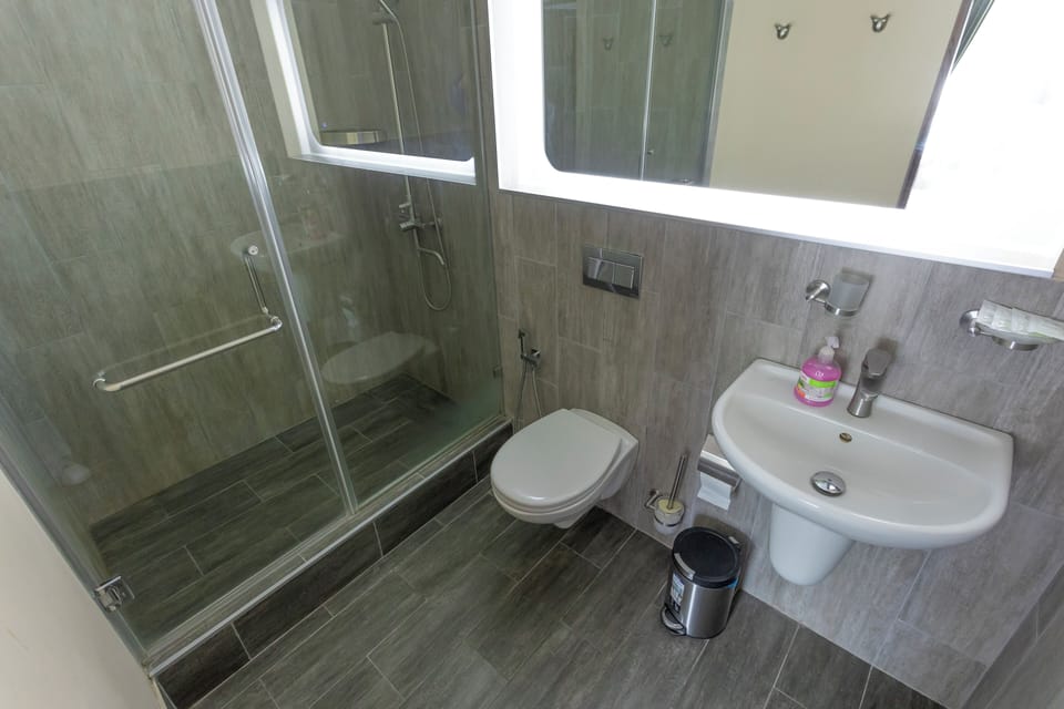 Shower, hair dryer, towels