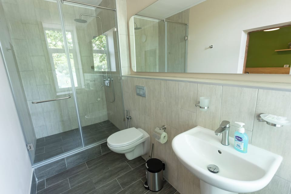 Standard Double Room, 1 Queen Bed, Non Smoking | Bathroom | Shower, hair dryer, towels