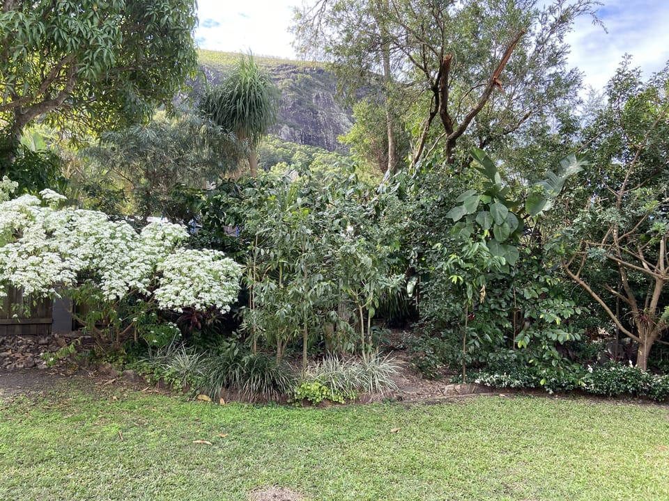 View from Private Patio