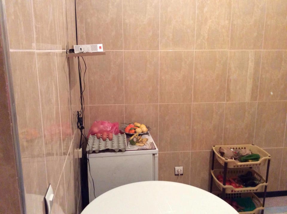 Basic Apartment, 3 Bedrooms, Smoking | Private kitchen | Full-size fridge, microwave, stovetop, electric kettle