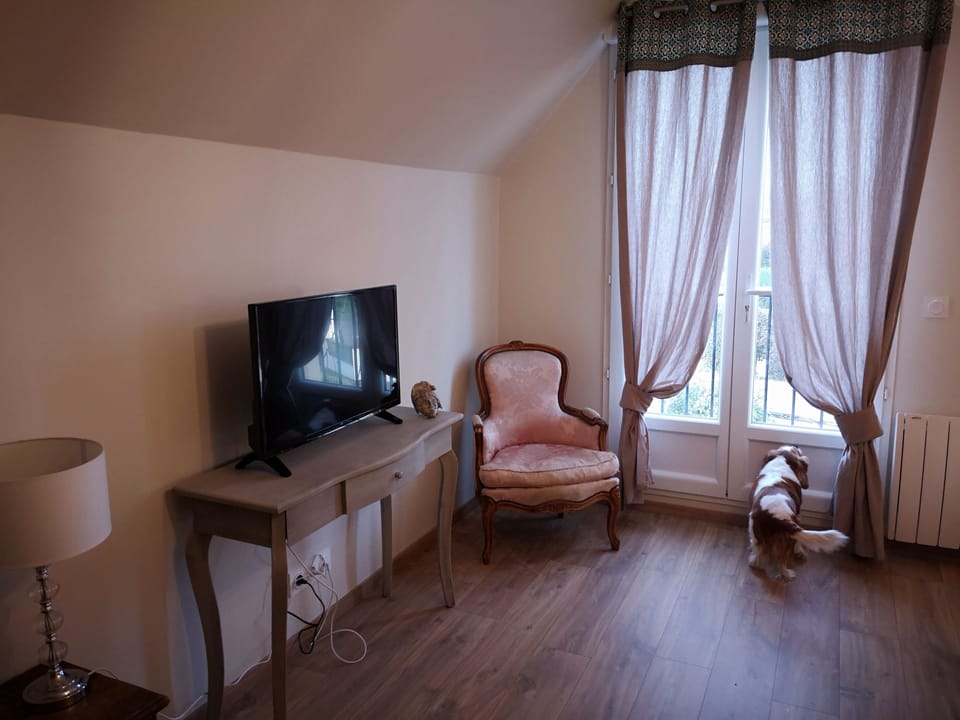 Comfort Double Room | Television