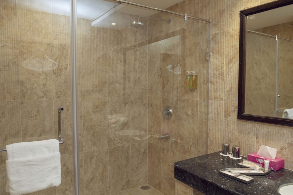 Zone Room | Bathroom | Shower, rainfall showerhead, free toiletries, hair dryer