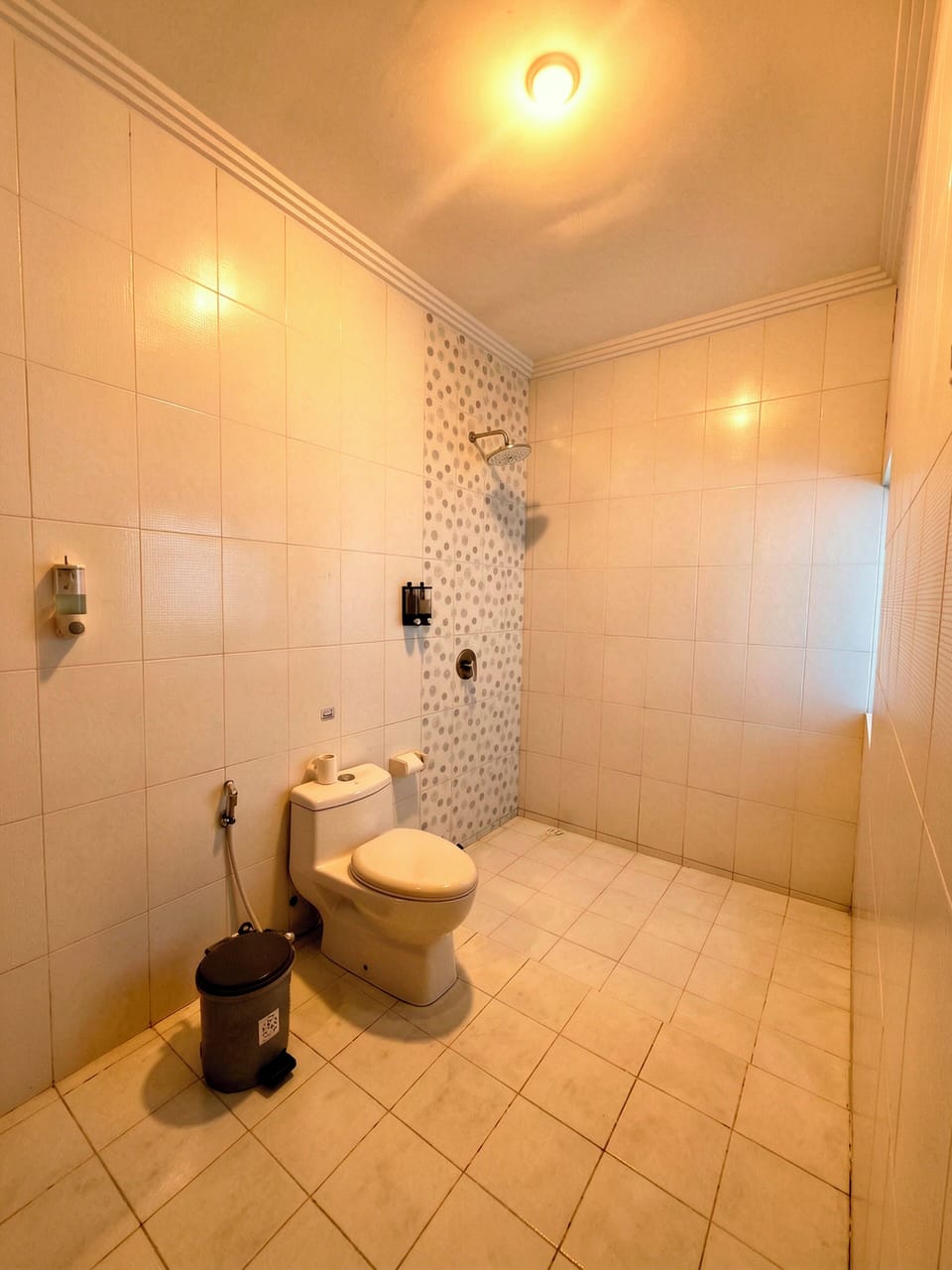 Deluxe Room, Ocean View | Bathroom | Shower, free toiletries, hair dryer, slippers