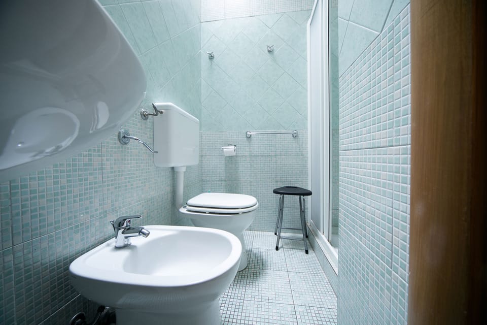 Double Room | Bathroom | Shower, hair dryer, bidet, towels